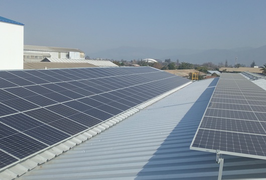 Algas Marinas SO10260